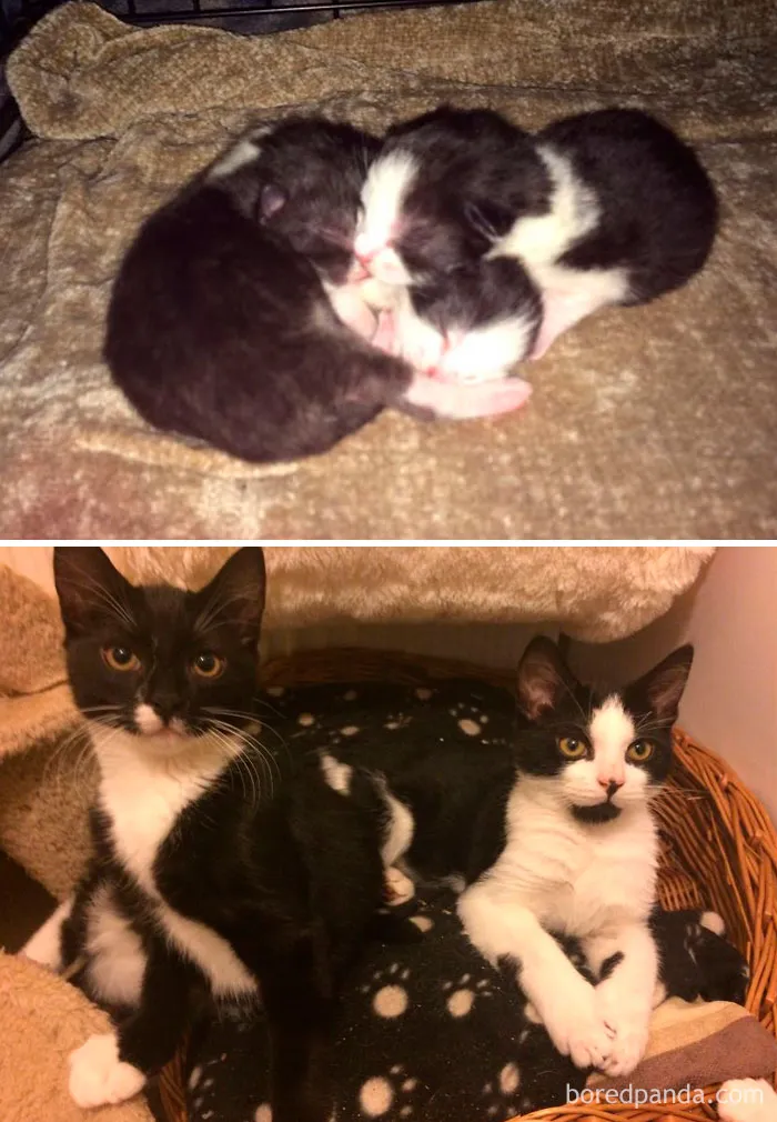 6 meses de diferencia