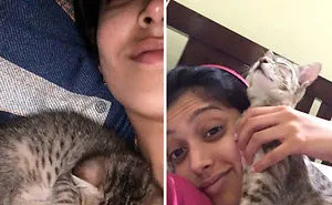 50 Before-And-After Photos Of Cats Growing Up