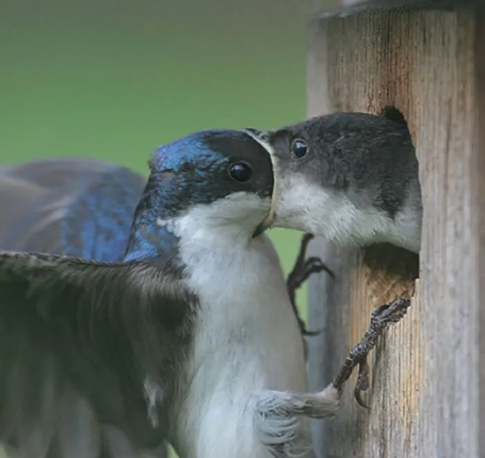 The Most Awkward First Kiss