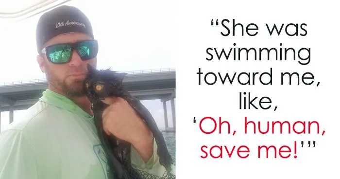 Somebody Apparently Threw This Cat Off The Bridge, But Luckily This Boat Captain Spotted Her