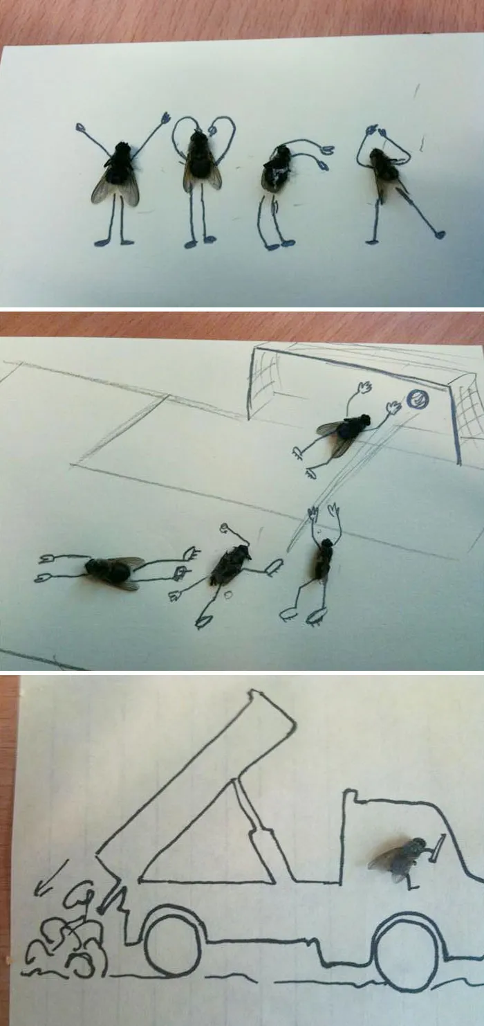 Encontré moscas muertas en el trabajo