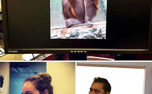 What Happens When People Are Bored At Work (50 Pics)