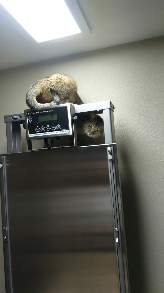 She Fit...
