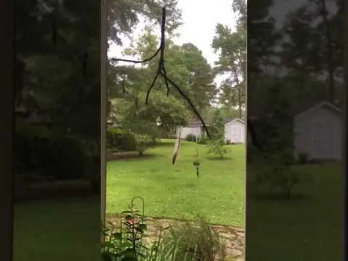 Mesmerizing Feather On A Mobile I Made.  Stops And Starts Swinging On Its Own With No Wind.