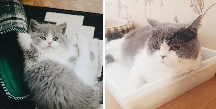 Pilkė Then And Now