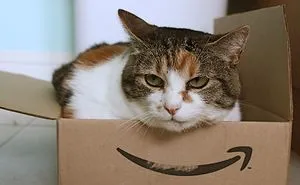 Tuxedo Cat
