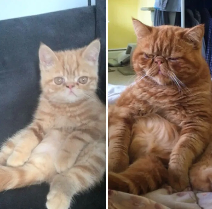 They Grow Up So Fast