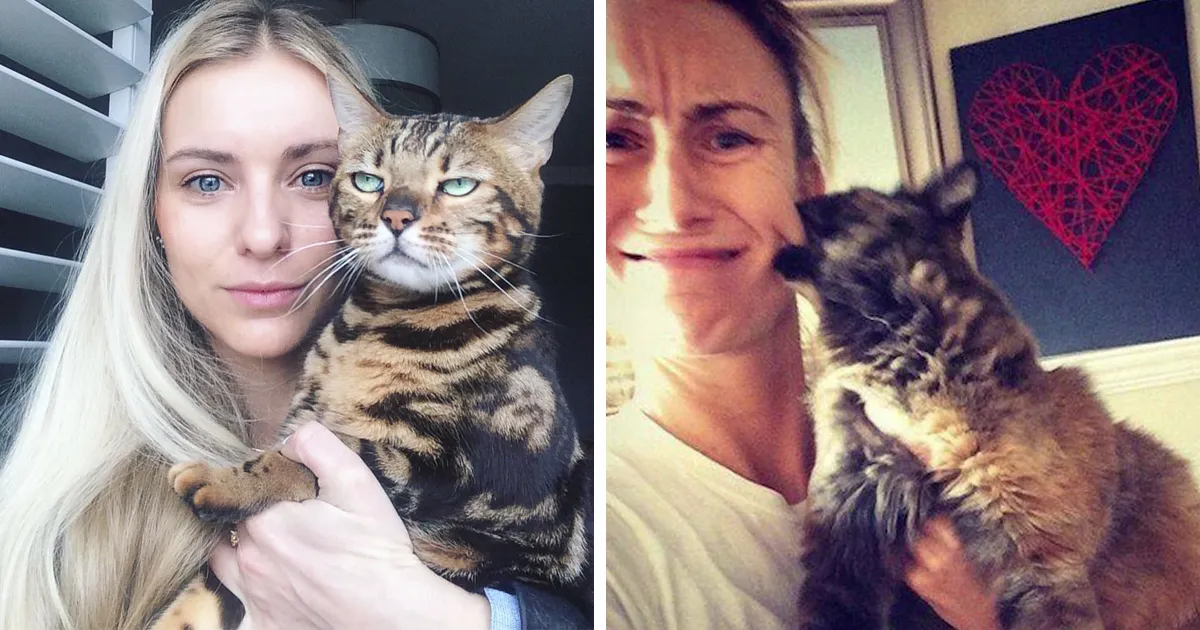 10+ Gatos que no quieren salir en tus estúpidos selfies y acabaron con un resultado divertido