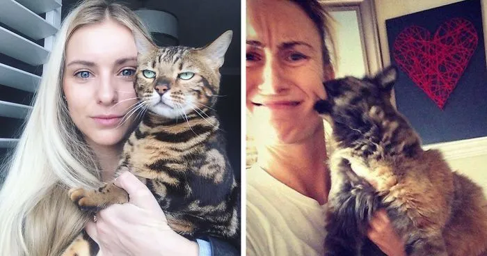 68 Times Cats Didn’t Want To Be In Your Stupid Selfies And The Result Was Hilarious