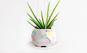 Our Ceramic Pots For Nature And Animal Lovers
