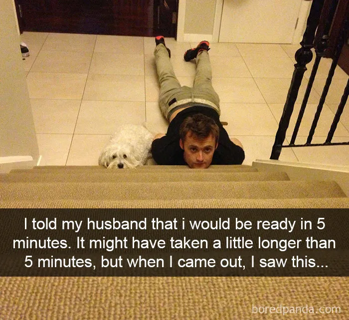 142 Hilarious Dog Snapchats That Are Impawsible Not To Laugh At (Part 3)