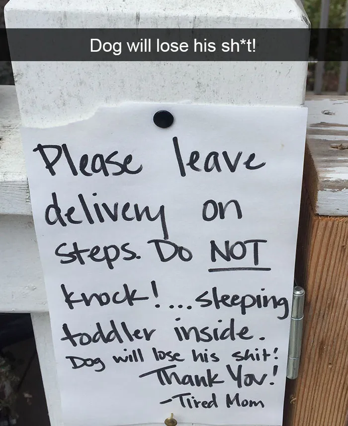 142 Hilarious Dog Snapchats That Are Impawsible Not To Laugh At (Part 3)