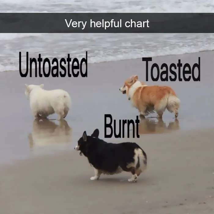 142 Hilarious Dog Snapchats That Are Impawsible Not To Laugh At (Part 3)