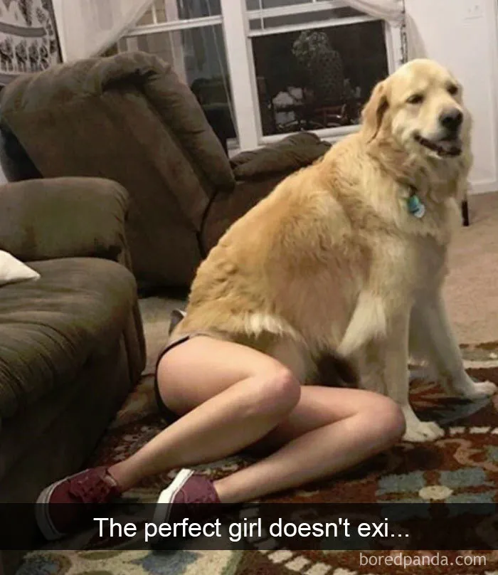 142 Hilarious Dog Snapchats That Are Impawsible Not To Laugh At (Part 3)