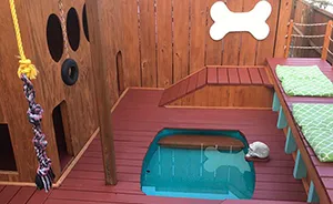 Dog Owner Transforms His Backyard Into A Large Playground With Private Pool For His 4 Dogs