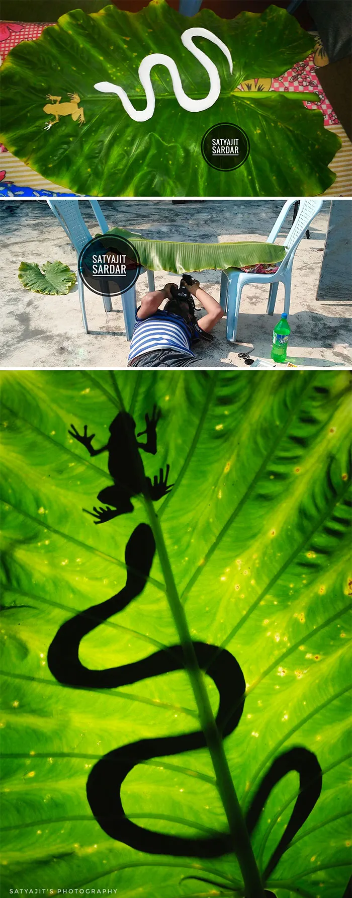 Use Plasctic Props To Create ‘Wildlife Photography’ At Home