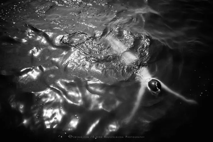 I Photograph Children Enjoying Careless Summers Spent Without Technology