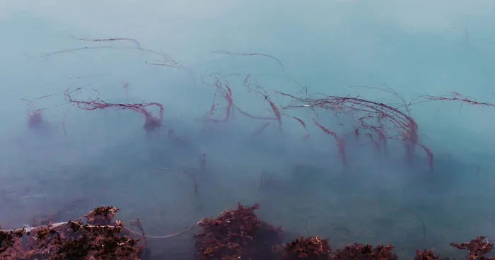 25 Extremely Impressive Patterns Of Iceland