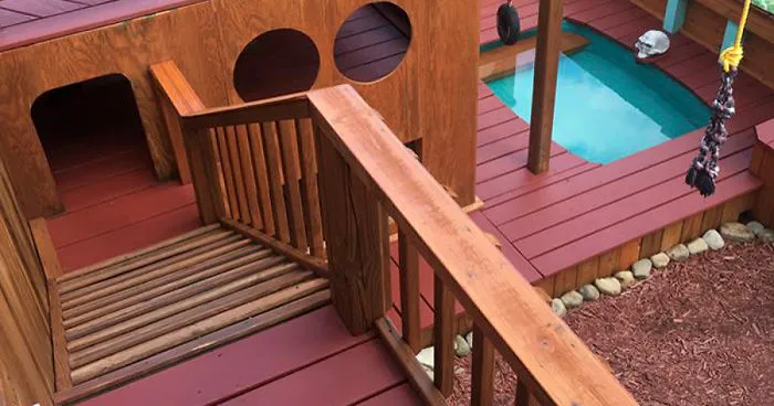 Dog Owner Transforms His Backyard Into A Large Playground With Private Pool For His 4 Dogs