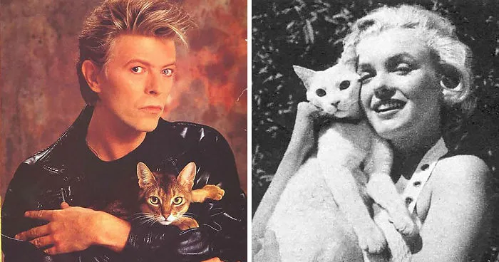 15 Famous People And Their Cats