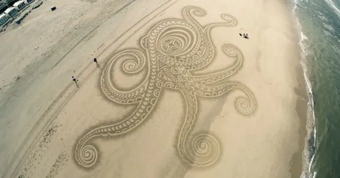 I've Been Drawing On Beaches Since Childhood, And I Still Do