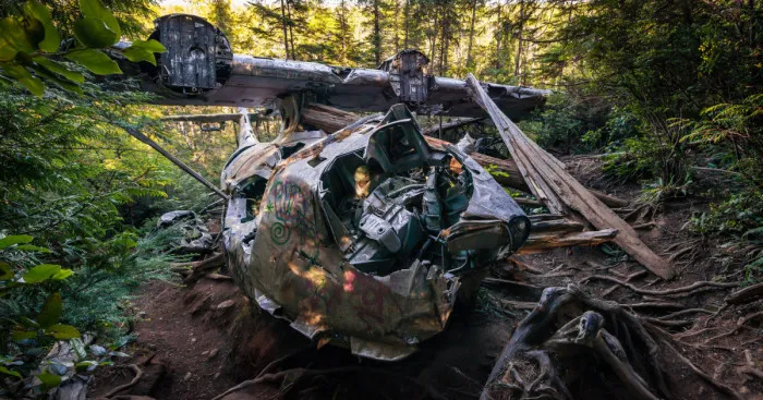 World War 2 Bomber Crash Site On Vancouver Island, Canada