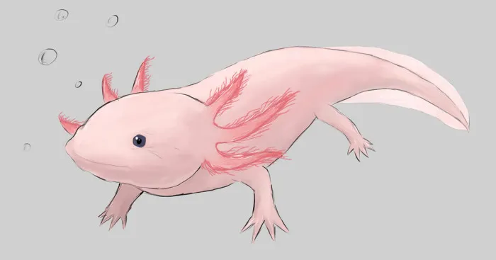 I Drew Animals You've Probably Forgotten About