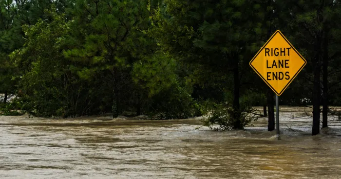 I Documented The Aftermath Of The Hurricane Harvey In North Houston