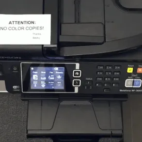 It's Anarchy In The Office