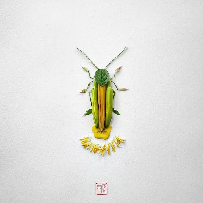 Firefly