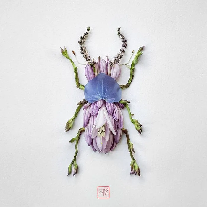 Stag Beetle