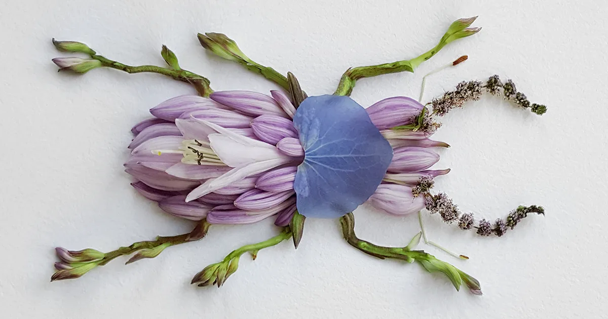 Creo insectos hechos con flores (9 imágenes)