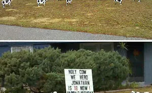 50 Neighbours Who Made The Neighbourhood More Interesting