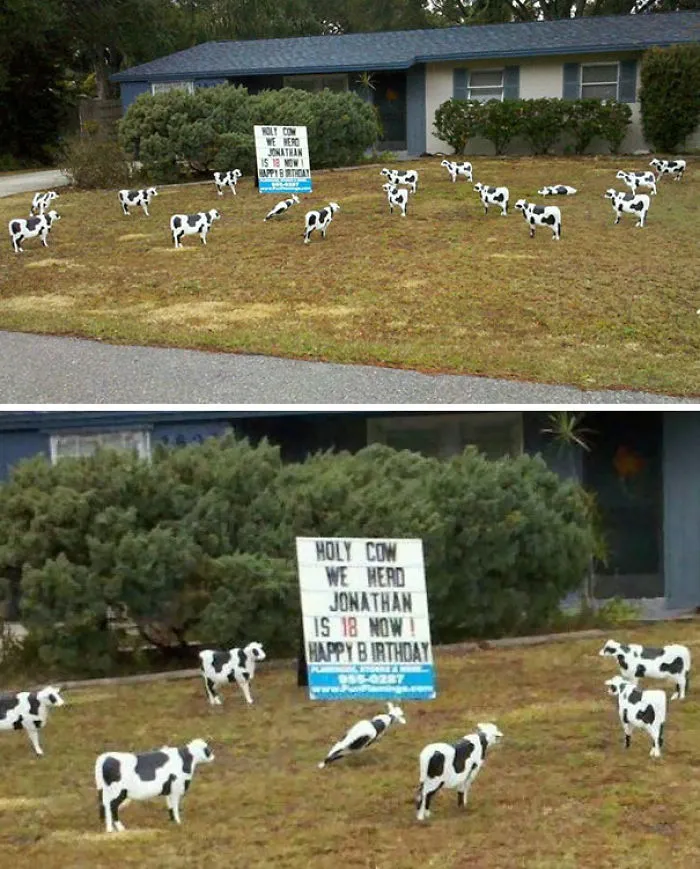 My Neighbors Are Weird