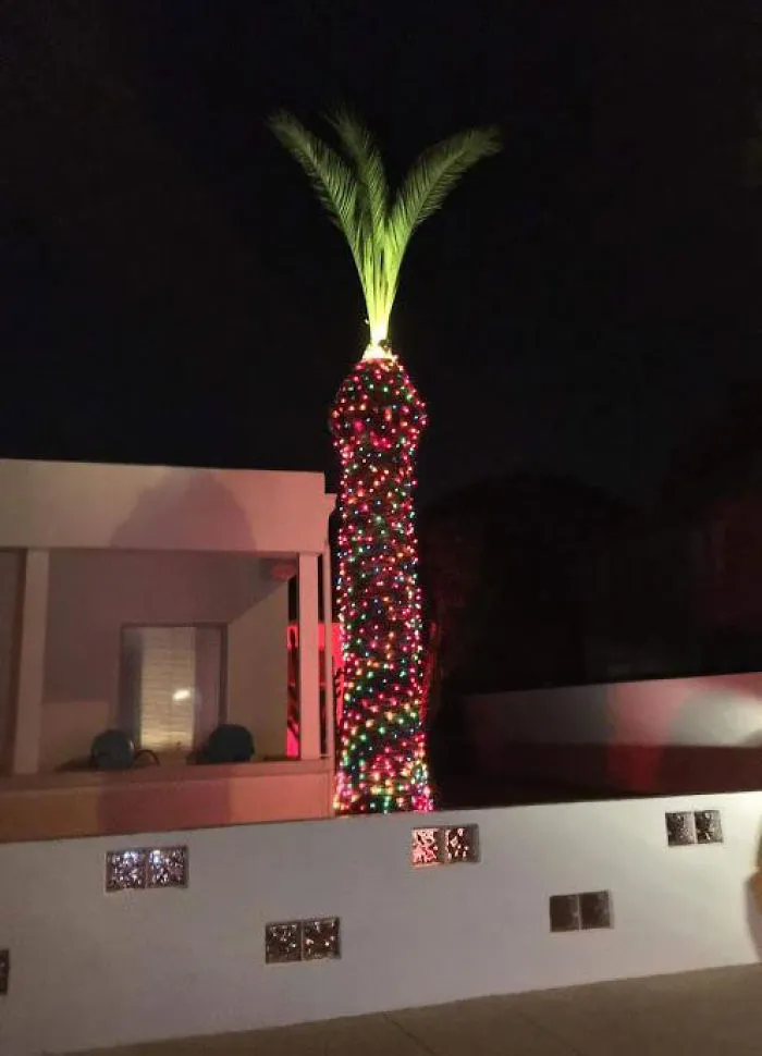 Los vecinos decorando en navidad su pene de jardín