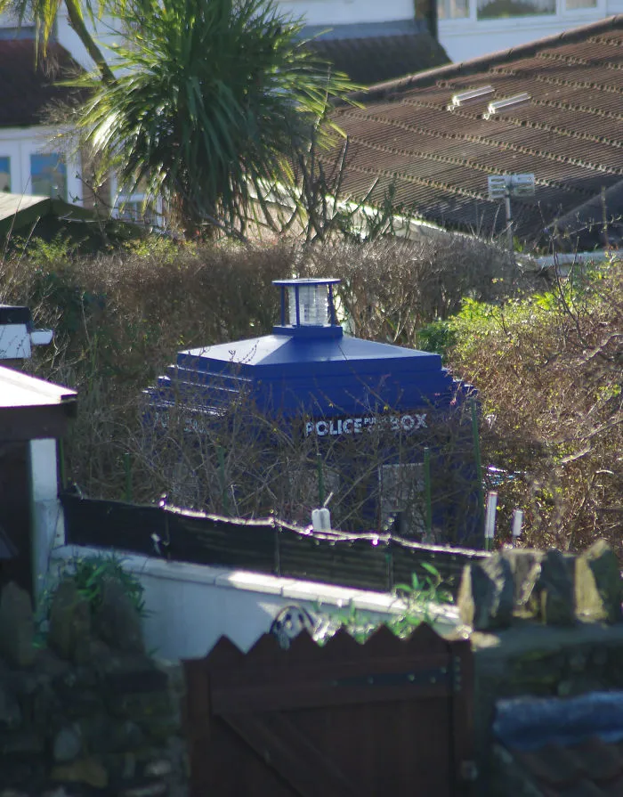 Lived Here For 3 Years And Never Noticed This In My Neighbour's Garden Until Today