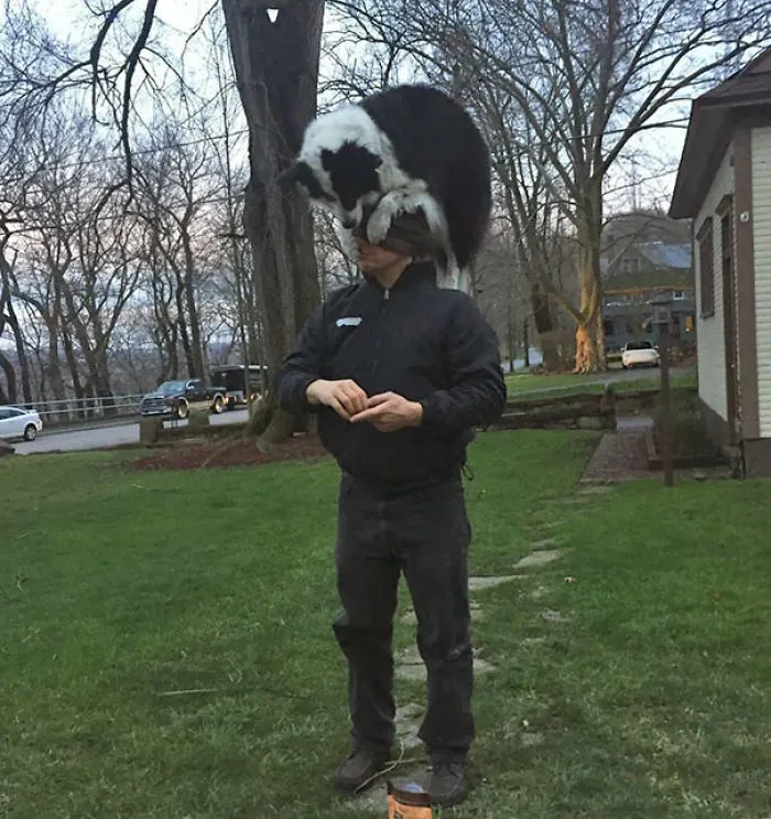 Mi vecino tiene una forma extraña de presentarme a su perro