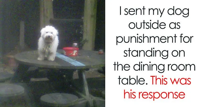 30 Badass Animals Who Don’t Care About Your Stupid Rules