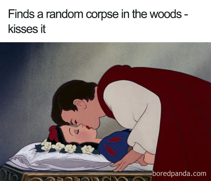 Snow White Logic