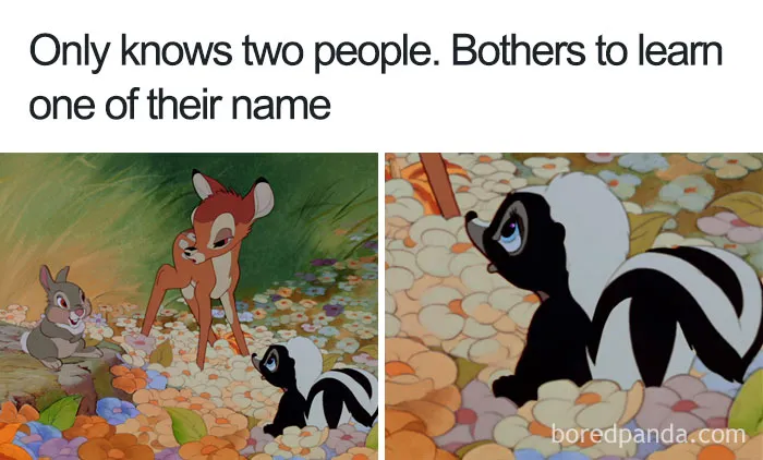 Cartoon logic example with animals in a forest, highlighting a skunk only learning one out of two names.