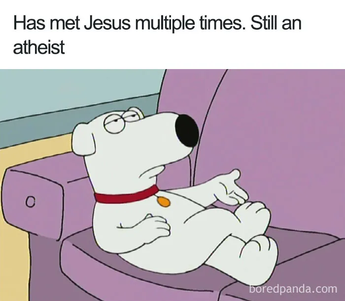 Cartoon dog reclining on a couch with text highlighting cartoon logic irony.