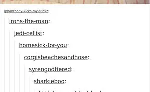 136 Cat Posts On Tumblr That Are Impossible Not To Laugh At