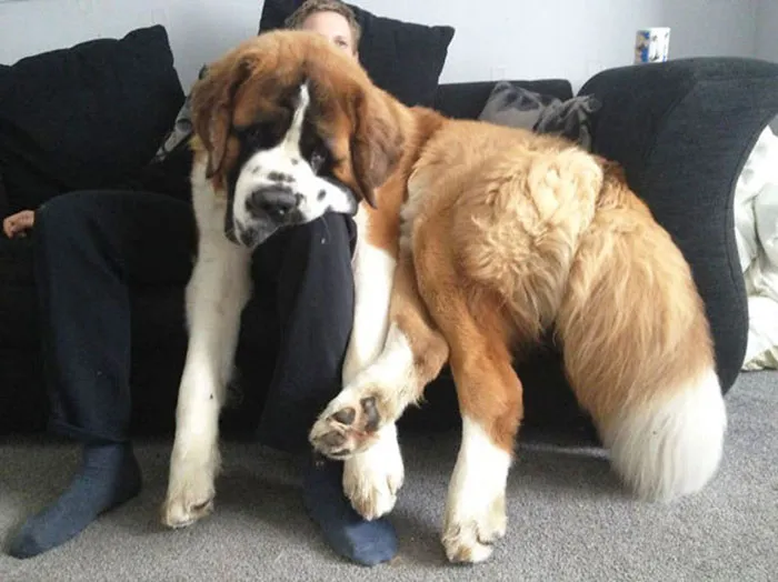 He Doesn't Believe In Personal Space