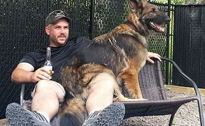 178 Dogs Who Don't Understand How BIG They Are And Think They're Lap Dogs (Add Yours)
