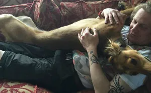 178 Dogs Who Don't Understand How BIG They Are And Think They're Lap Dogs (Add Yours)