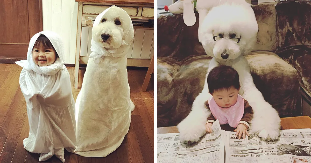 Esta niña japonesa y su caniche te alegrarán el día