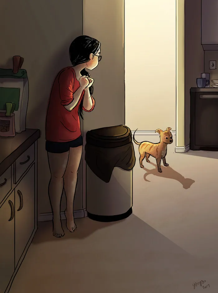 Jugar con tu perro