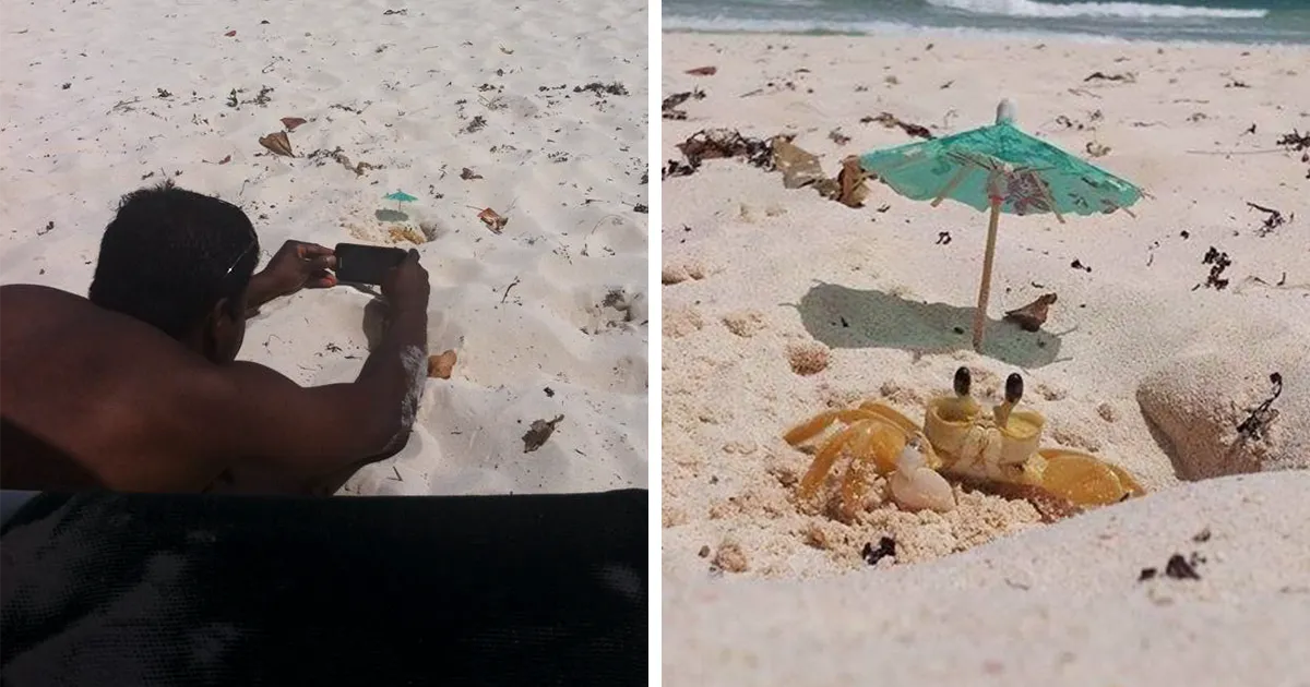 "Mi marido estuvo 20 minutos tirado en la arena esperando a que saliera el cangrejo para hacer la foto perfecta, mereció la pena"