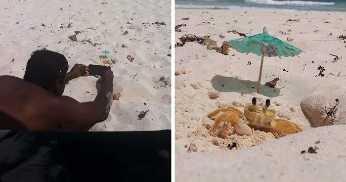"My Husband Laid On The Sand For 20 Mins Waiting For The Crab To Emerge For The Perfect Shot - Totally Worth It"