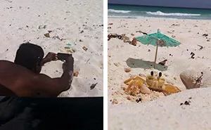 "Mi marido estuvo 20 minutos tirado en la arena esperando a que saliera el cangrejo para hacer la foto perfecta, mereció la pena"